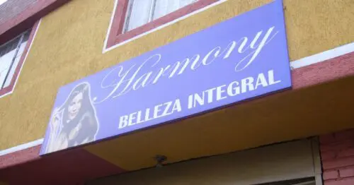HARMONY BELLEZA INTEGRAL HARMONY BELLEZA INTEGRAL